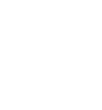 FIMER LOGO BRANCO